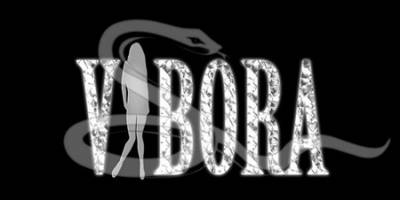 logo Vibora (SLV)